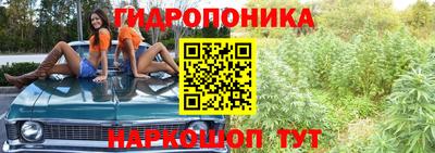твердый Пенза